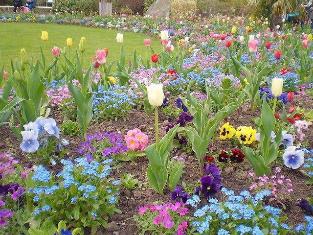 温柔的图片唯美，ins温柔唯美治愈系背景图，微信头像（生活明朗 万物可爱）