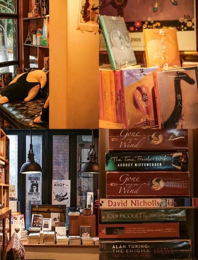 云南最好吃的野生菌在哪，中国最浪漫城市非她莫属