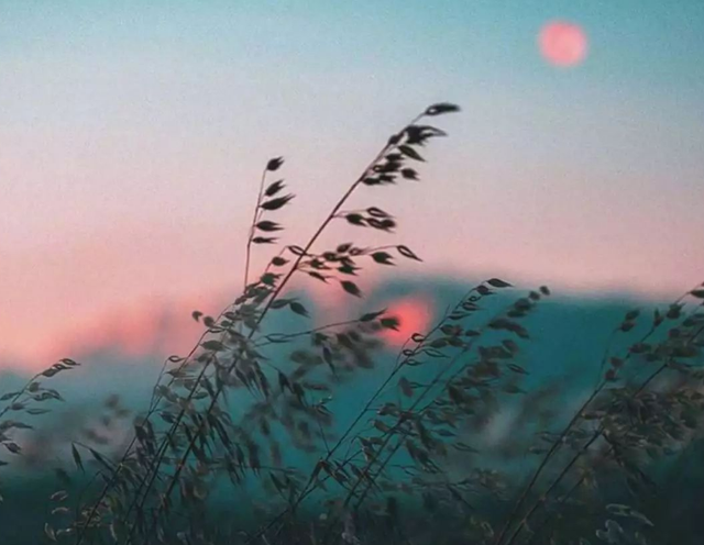 记录美好时光的句子，记录美好时光的短句（怀念曾经的美好时光）