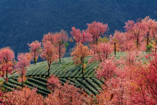 10种代表秋天的景物，秋天的景色有哪些（这10个小众绝美的秋景地）