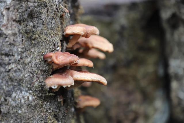 因人而异造句，用因人而异写一句话（最高级的智慧：因人而异）