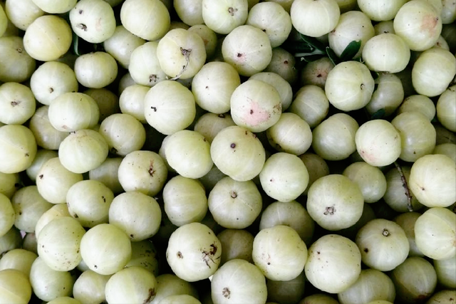 十大最酸的水果，十大高蛋白食物水果（四大酸水果横空出“市”）