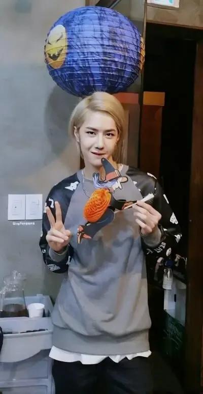 洛阳白牡丹——王一博，为什么叫王一博洛阳白牡丹（洛阳白牡丹—王一博图片）