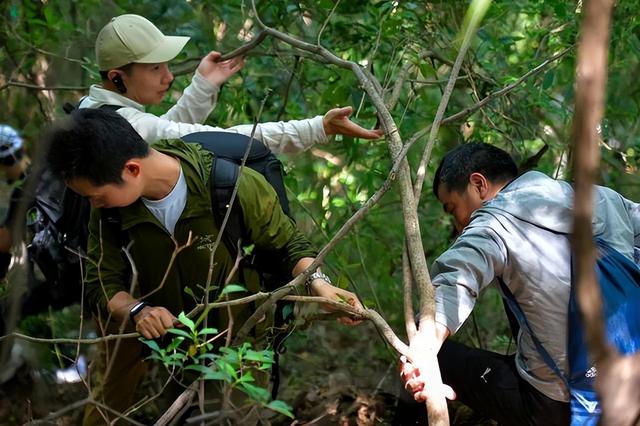 苏堤的由来， 这场山水间的文化体验之旅揭秘不为人知的千年城市历史