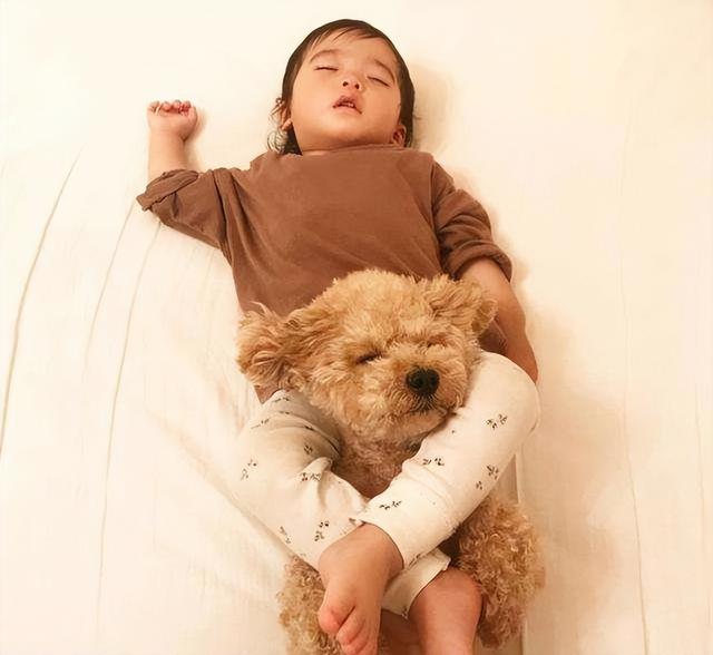 适合小孩养的狗，最好养又很温顺可以带孩子的狗狗（可以养这4种狗狗）