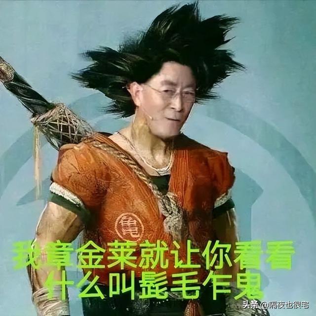 金坷垃是什么，金坷垃是什么时候火的（B站曾试图垄断哪些亚文化商标）