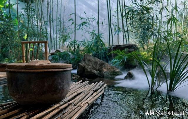 上海红茶馆.网名，上海红茶馆.微信昵称（有藏于城市中何必在山林之感）