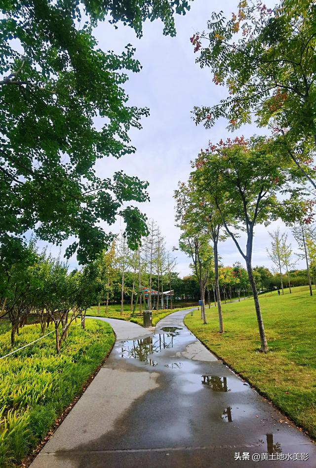 郑州龙湖湿地公园现状分析，河南郑州龙湖湿地公园秋色初露