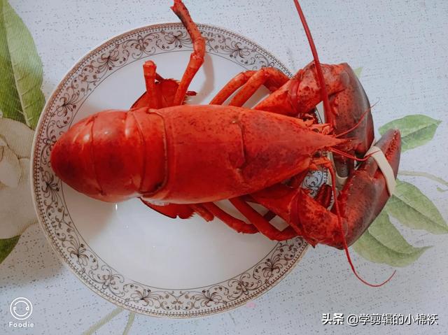 波龙怎么做好吃，波龙的做法（波士顿小龙虾的两种做法）