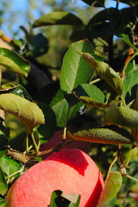 期货套利交易方法，期货套利交易方法使用（期货套利交易介绍）