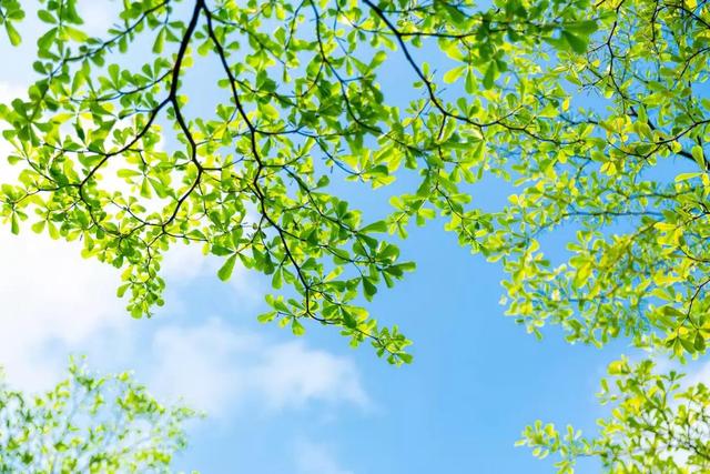 春风不解风情吹动少年的心，春风不解风情吹动少年的心歌词（春风不解风情，吹动了少年的心图片）