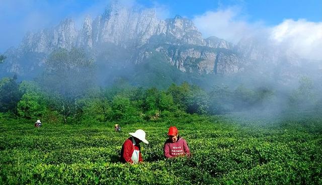 国家地理标志保护产品，黑龙江省十大著名国家地理标志保护产品是什么（江西的国家知识产权局认定的国家地理标志保护产品）