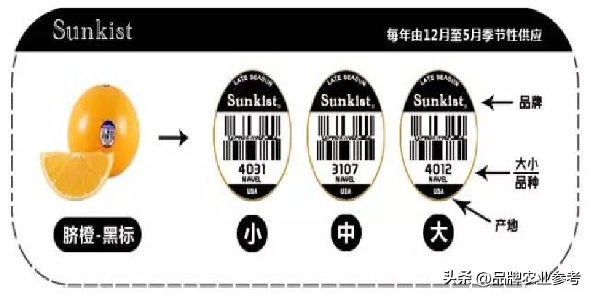 最受欢迎高端大气上档次的农业公司起名字大全 好听的农业公司起名大全