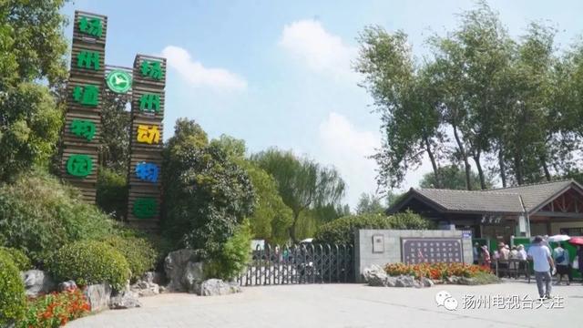 江苏扬州，茱萸湾动物园门票价格拟上调15元， 将举行听证会