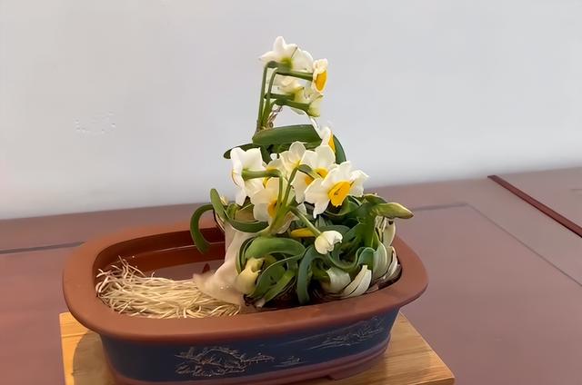 厦门大明湖春节有什么好玩的地方，厦门大明湖畔：水仙绽放贺春来