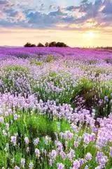 花开花落 云卷云舒，花开花落.云卷云舒.（去留无意。花开花落网名）