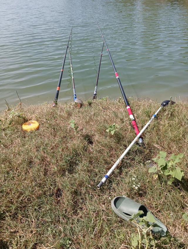 为什么太阳早上大中午小，《两小儿辩日》翻译（浅谈秋季野钓天气的变化）