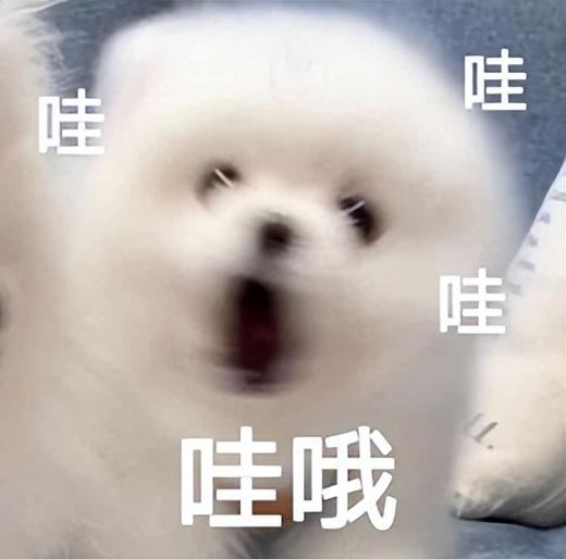 火字旁的字取名，取名常用的火字旁的字推荐（你家娃名上榜了吗）