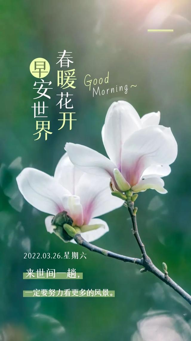 工作励志正能量文案，正能量满满的励志句子有哪些（早安心语，正能量努力工作文案）