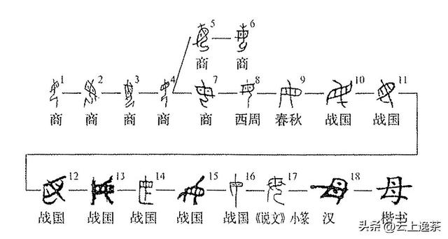 母在姓氏里读wu，每日说字——“母”