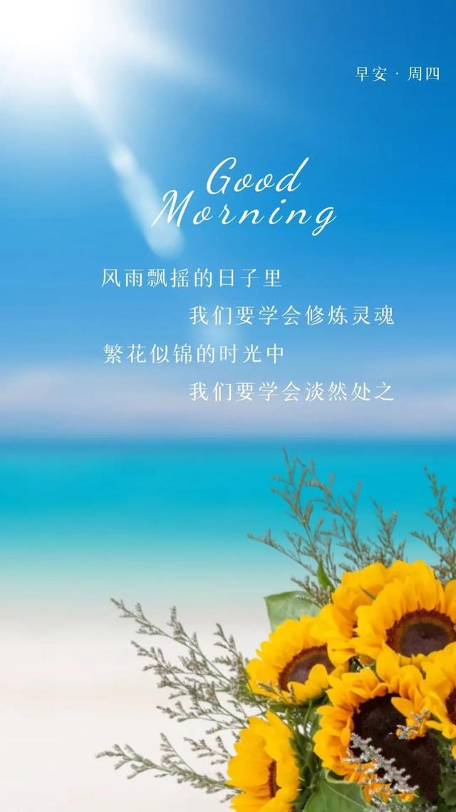 早安语录正能量短句，早安语录正能量短句100字大全（正能量简单语录句子）