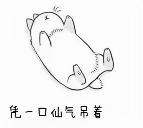 什么是辟谷辟谷的正确方法，徐峥通过“辟谷”成功减肥二十斤