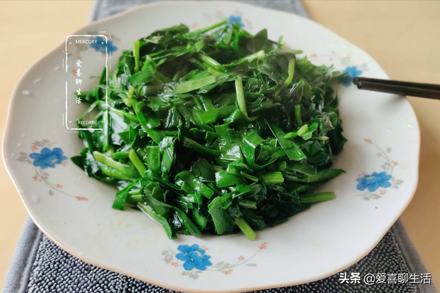 韭菜多少钱一斤，今日全国韭菜批收价格（春天少吃菠菜白菜多吃韭菜）