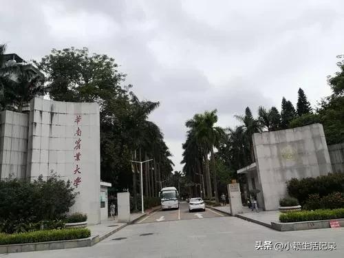 自离了是不是没工资了，自离不给工资合法吗（在广州黄埔年收入3000万）