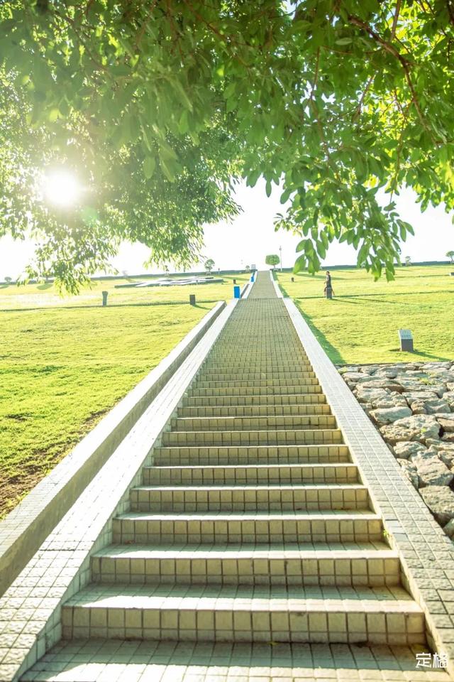 深圳一日游免费必去的地方，深圳最适合一日游的15个免费景点（深圳10个小众打卡地）