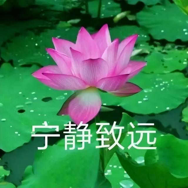 微信头像｜精选朋友圈优质头像，精选优质微信头像大全（头像 ， 朋友圈里最靓的头像）