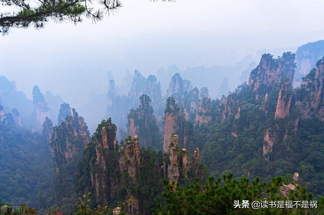 派保爵是什么牌子，派保爵什么档次（国学经典之《后汉书》导读第一百五十三讲）