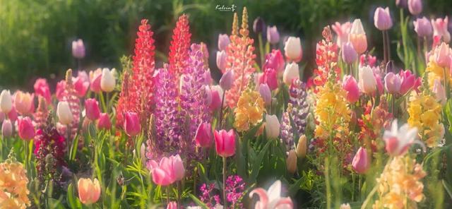 泡泡吹泡泡网名，泡泡吹泡泡微信昵称（充满夏天气息的女生网名）