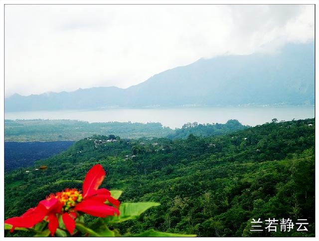 猫屎咖啡的价格，猫屎咖啡多少钱一杯（印尼巴厘岛旅游）