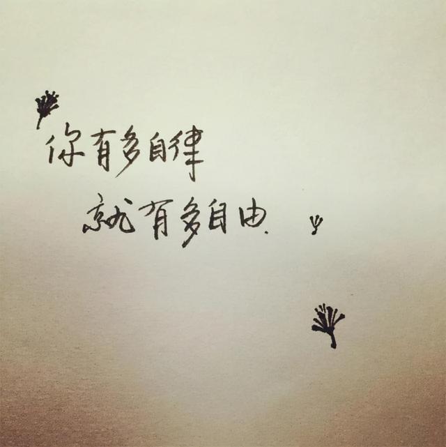 随心所欲的欲是什么意思，随心所欲的欲的意思是什么（随心所欲的欲是什么）