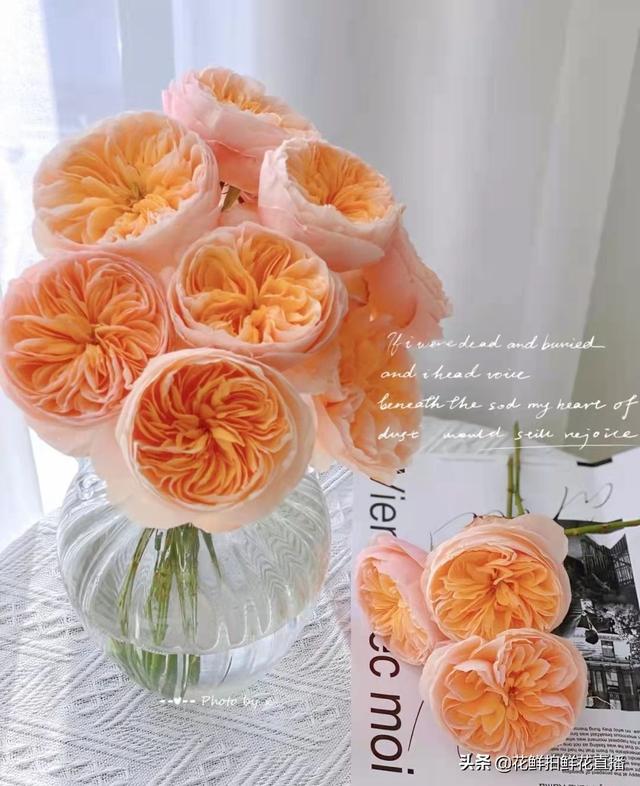 永生花怎么保存，永生花为什么卖那么贵（养护方法<花店必看>）