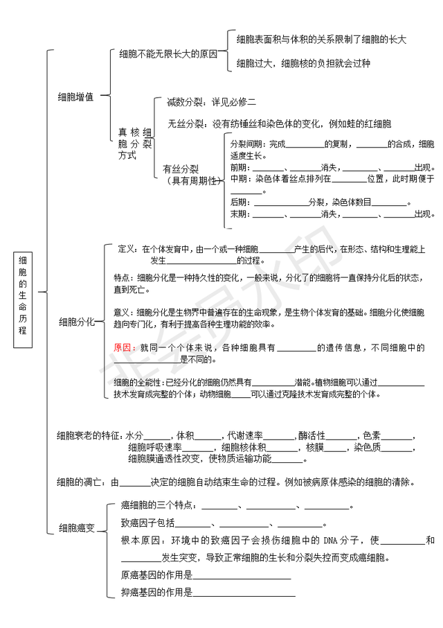 细胞代谢思维导图，代谢需要酶和atp的思维导图（带你学高中生物）