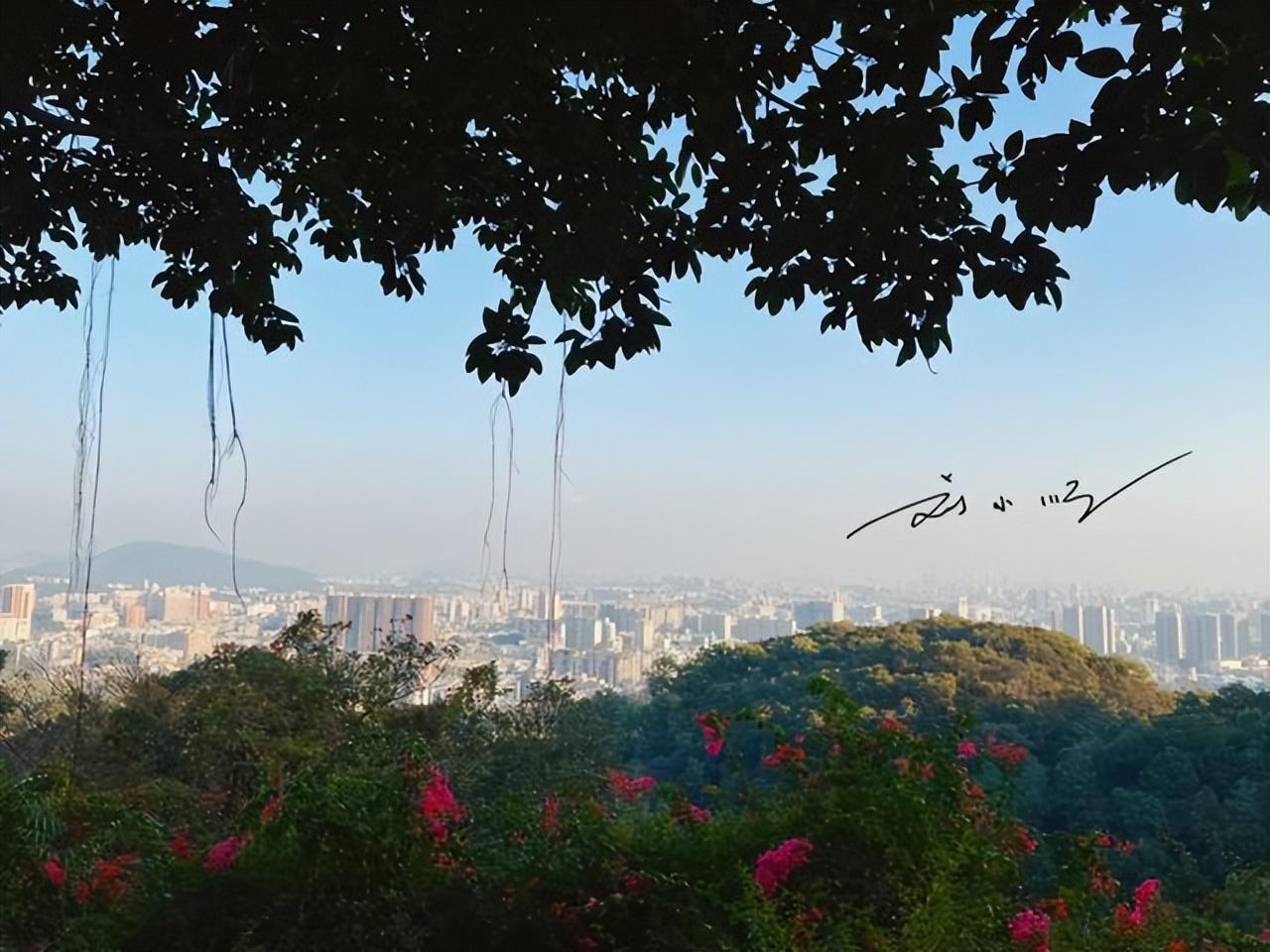 广州老城区(广州老城区改造)