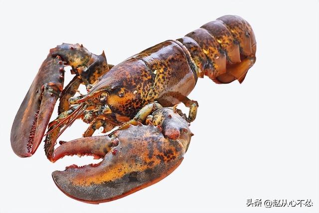 世界上最贵的矿泉水，世界昂贵的美食盘点