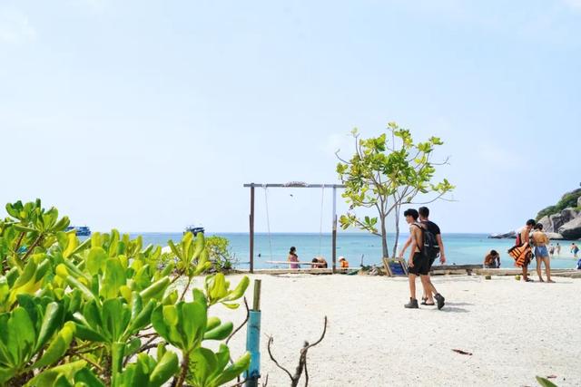 苏梅岛旅游攻略线路，苏梅岛旅游报价（我在这个小岛提早过起夏天了）