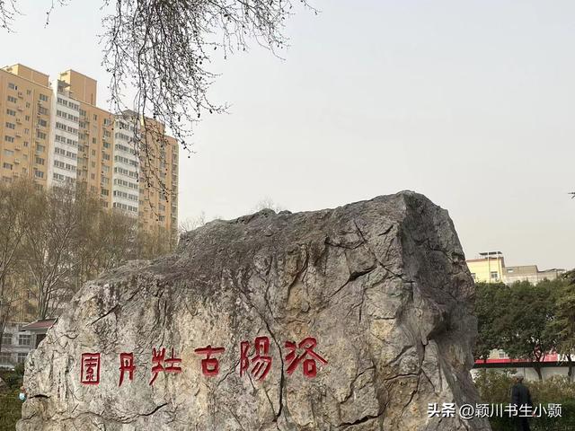 洛阳最值得一看的牡丹园，史上最全的洛阳牡丹观赏园