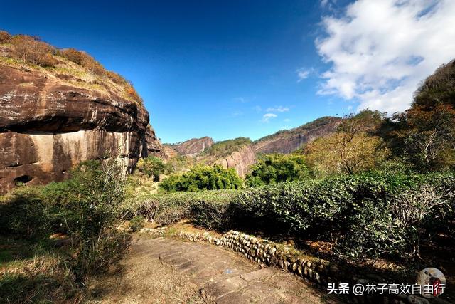 武夷山岩茶是什么茶，武夷山岩茶是什么茶?崇亮传播茶文化（我眼中的武夷山）