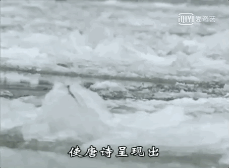 儿童科普纪录片，适合儿童看的科普片（9部孩子必看的顶级纪录片）