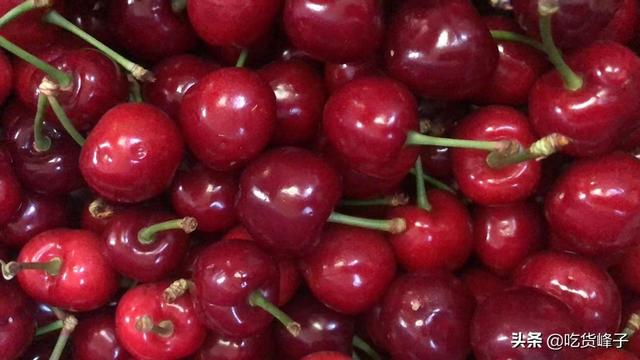 车厘子是不是樱桃，车厘子和樱桃是一样吗（车厘子和大樱桃傻傻分不清）