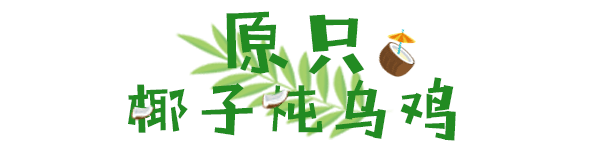 “椰”青回！跟酷暑say拜拜