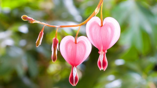 男人什么时候会有生理反应，男生是对谁都会起反应吗（男人的这些“生理反应”）