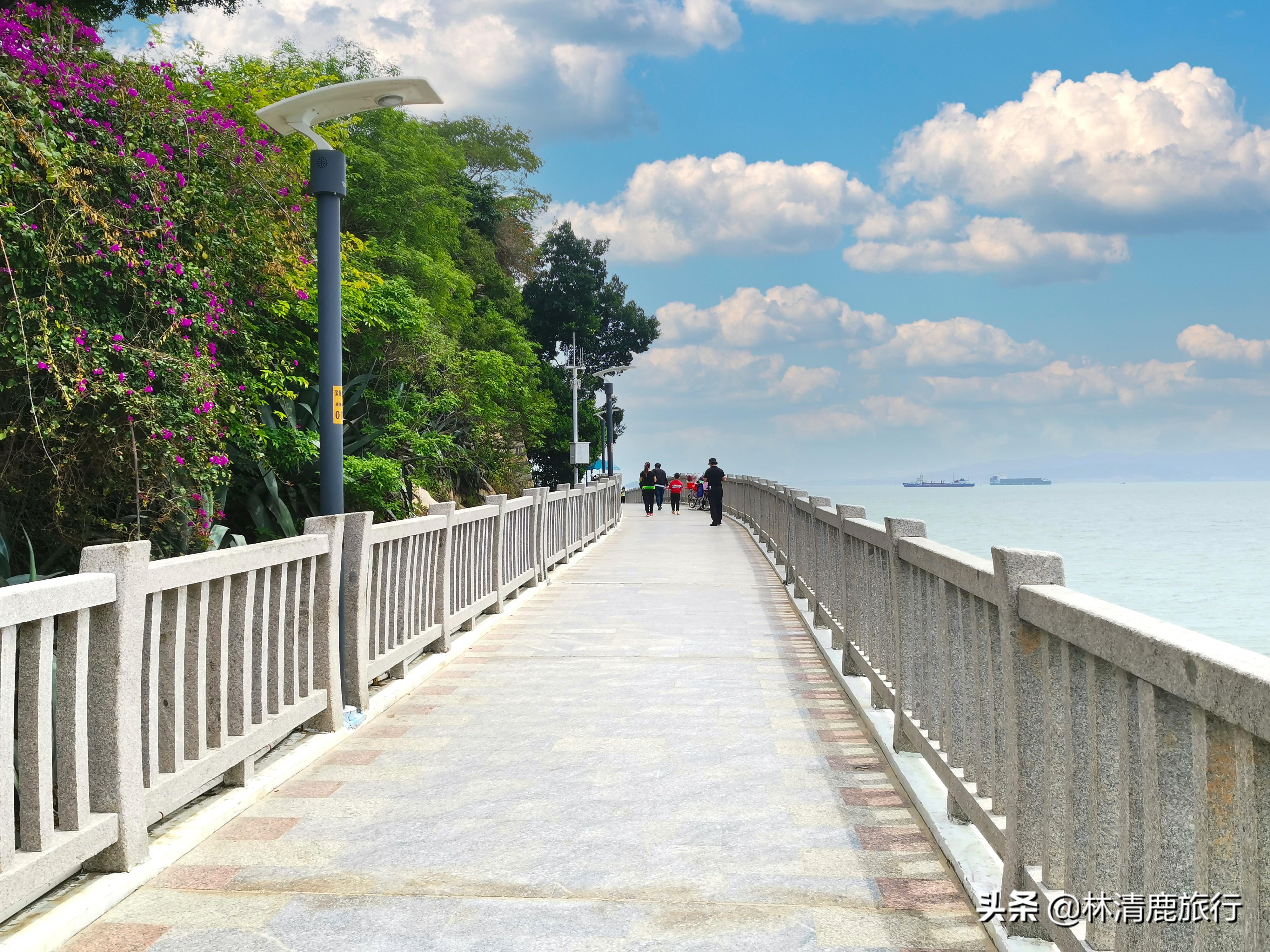 夏天国内去哪旅游凉快，中国最适合夏天旅游的城市