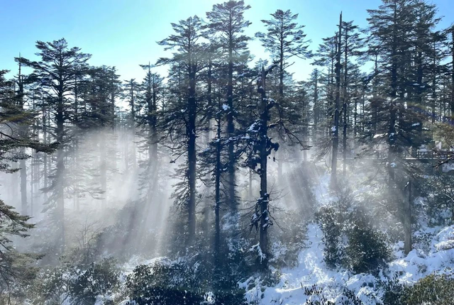 成都周边雪景一日游景区推荐，成都周边7个最佳赏雪胜地