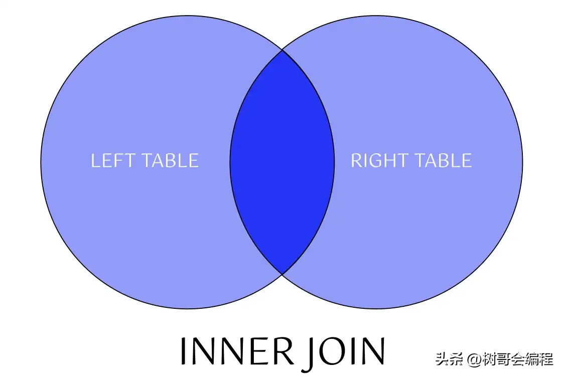 sql数据库开发是什么，sql数据库常用命令