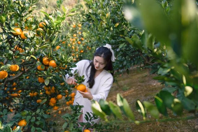 普陀山旅游攻略最新，普陀山旅游攻略2021（期待与你在普陀山朱家尖的邂逅~）