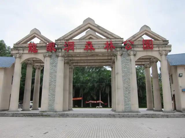 龙眼洞森林公园，广州龙洞森林公园介绍（广州徒步之渔龙线……）